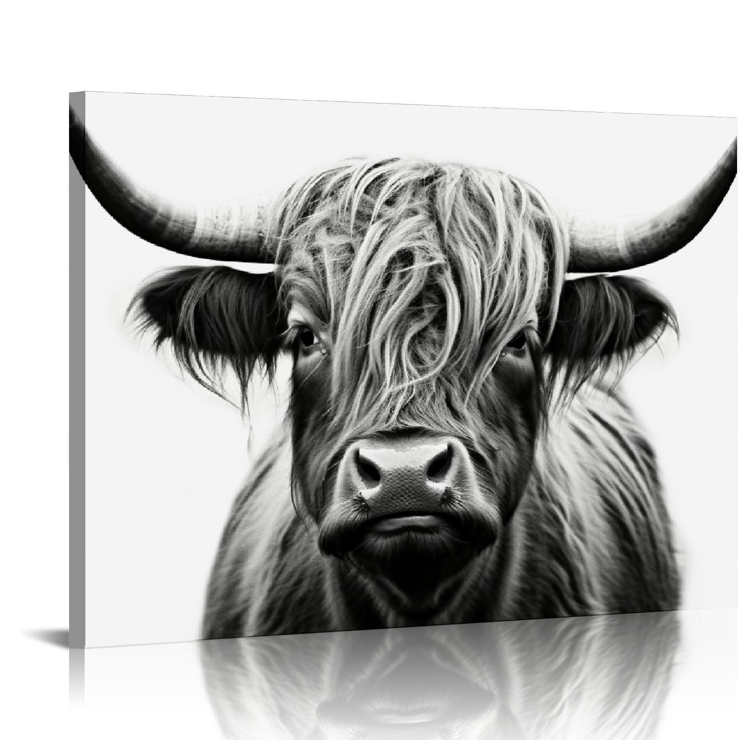 Highland Cow Black and White Canvas Wall Art 16x20