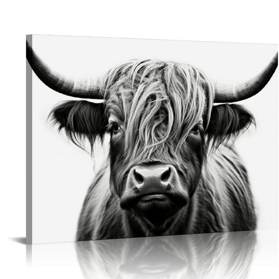 JRXY  Scottish Cow Canvas Print Animal Painting Wall Art for Living Room pet Shop Zoo Decoration , Framed,  20x16in