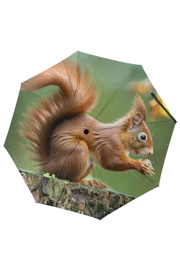 Squirrel Nut Forest Three-Fold Umbrella Automatic Umbrella Folding Umbrella Compact PG Fabric for Rain and Sun Automatic
