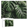 thumbnail image 1 of JRXY Tropical Leaf Wooden Jigsaw Puzzle Challenging Difficult Wood Puzzles for Adults 300 PCS, 1 of 4