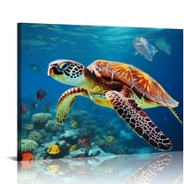 JRXY  Turtle Picture Decor Wall Art Aquatic Animal Nature Landscape Print on Canvas for Bathroom Kids Room Decorations Teal Framed  20x16in