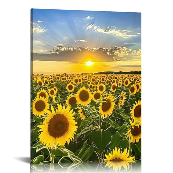 JRXY Wall Art Canvas Painting Beautiful sunset over sunflower field yellow sunflower canvas Picture Poster Print Framed and Stretched Ready to Hang for Living Room Bedroom Office 12x16 in