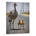 thumbnail image 1 of JRXY Wild Animals Sandhill Crane And Bdby Canvas Poster Bedroom Decor Sports Landscape Office Room Gift,Canvas Wall Art Print Picture Paintings for Living Decoration - 16x20 Inch Picture 3, 1 of 3