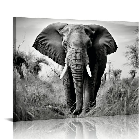 JRXY  Wild Elephant Canvas Wall Art: African Animals Picture Safari Landscape Painting Modern Artwork Black and White Print for Living Room Bedroom Bathroom Ready to Hang 20x16in