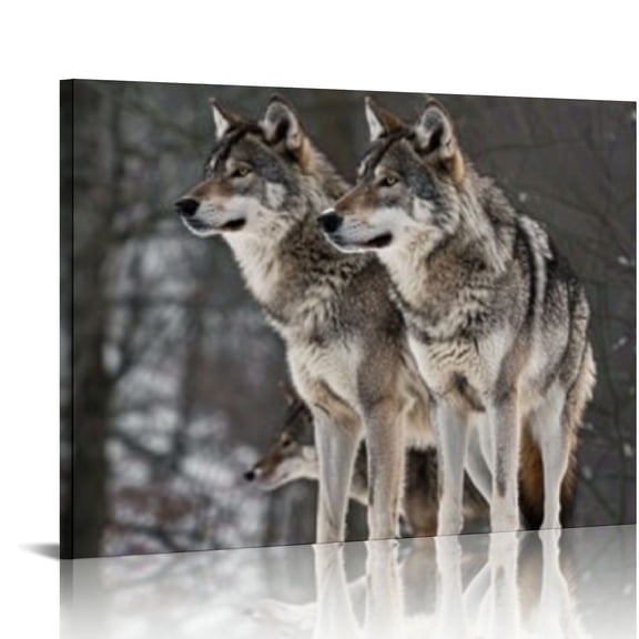 JRXY Wild Wolf Canvas Wall Art: Lovely Animals in Nature Forest Painting Wildlife Art Print for Bedroom 16x12in
