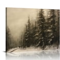 thumbnail image 1 of JRXY  Winter Pine Forest Christmas Painting Nature Art Rustic Landscape Wall Art Framed Canvas Vintage Classic Wall Art Farmhouse Paintings Vintage Wall Art for Home Room Bathroom Decor  16x12in, 1 of 4