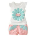 thumbnail image 1 of JSCDRPDWL 2t Girl Clothes Sets Outfits for Girls 7-8 Baby Girl Outfits Girls Athletic Tops + Hiking Shorts New Born Clothes Baby Girl, Pink 12-18 Months, 1 of 5
