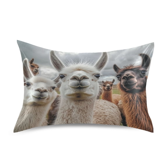 JSTEL Alpaca Llamas Staring Satin Pillowcase Queen Size Pillow Cases Envelope Closure Bed Pillow Cover, 20 x 30 inch