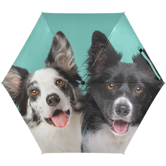JSTEL Cute Border Collie Dog Animal Folding Umbrella for Rain Sun Travel Mini Lightweight Compact Umbrellas