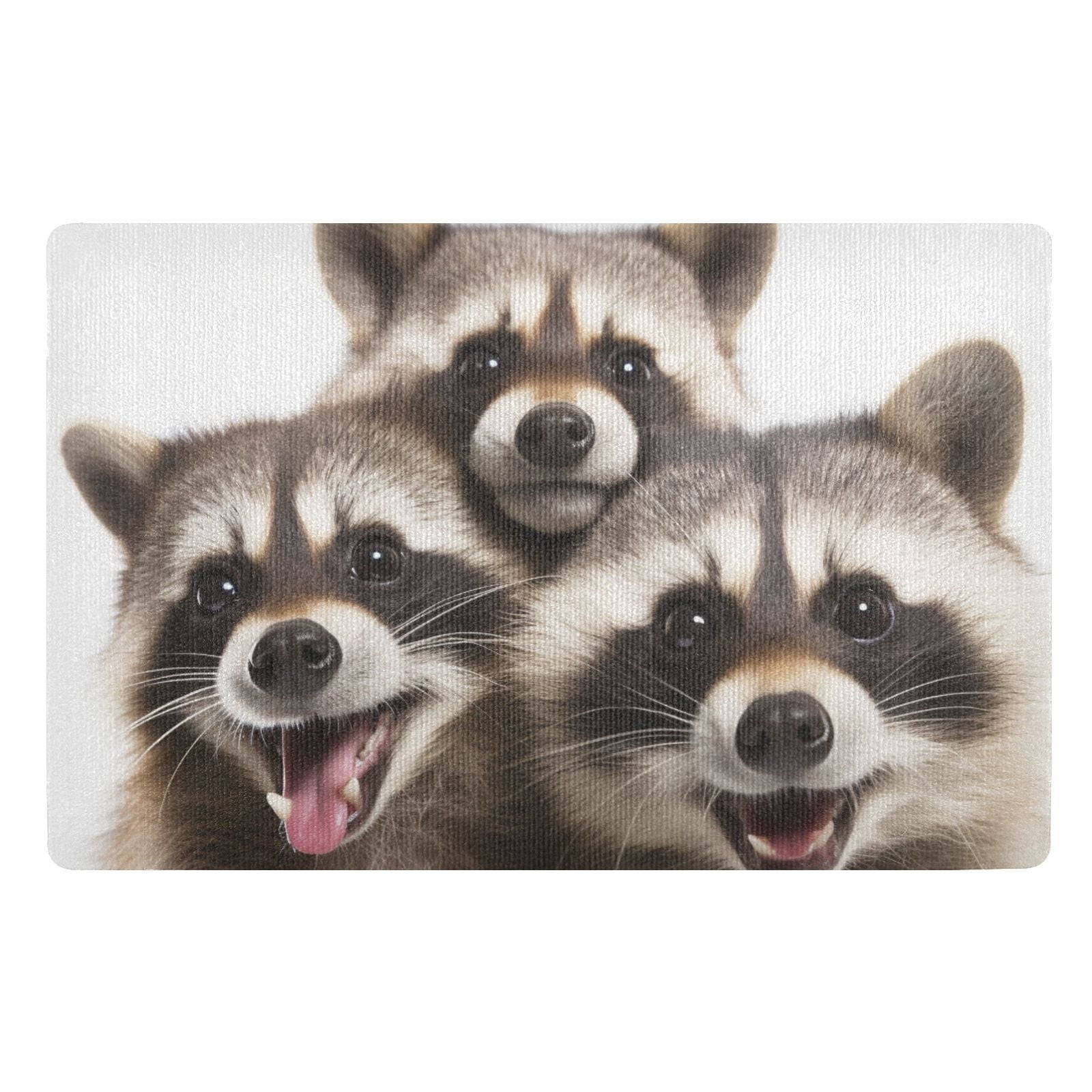 JSTEL Cute Raccoons Front Door Mat Outside Entrance 32x20 Inch Doormat for Outdoor Indoor Washable Non Slip Floor Mats