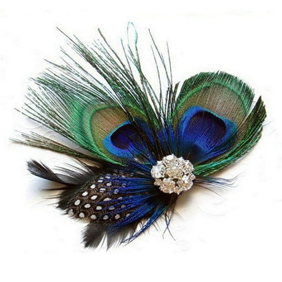 JT Beauty Store Peacock Hairpin,Style New Peacock Feather Headdress Dance Performance Exaggerated Hairpin Hair Accessories Travel Photo Fashion Side Clip Styling Tools Beauty Tools Clearance Black
