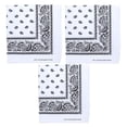 thumbnail image 1 of JTAOT 3 Pack Dog Bandana Neck Scarf Paisley Polyester Bandanas - Any Pets 22X22 INCHES (White), 1 of 5