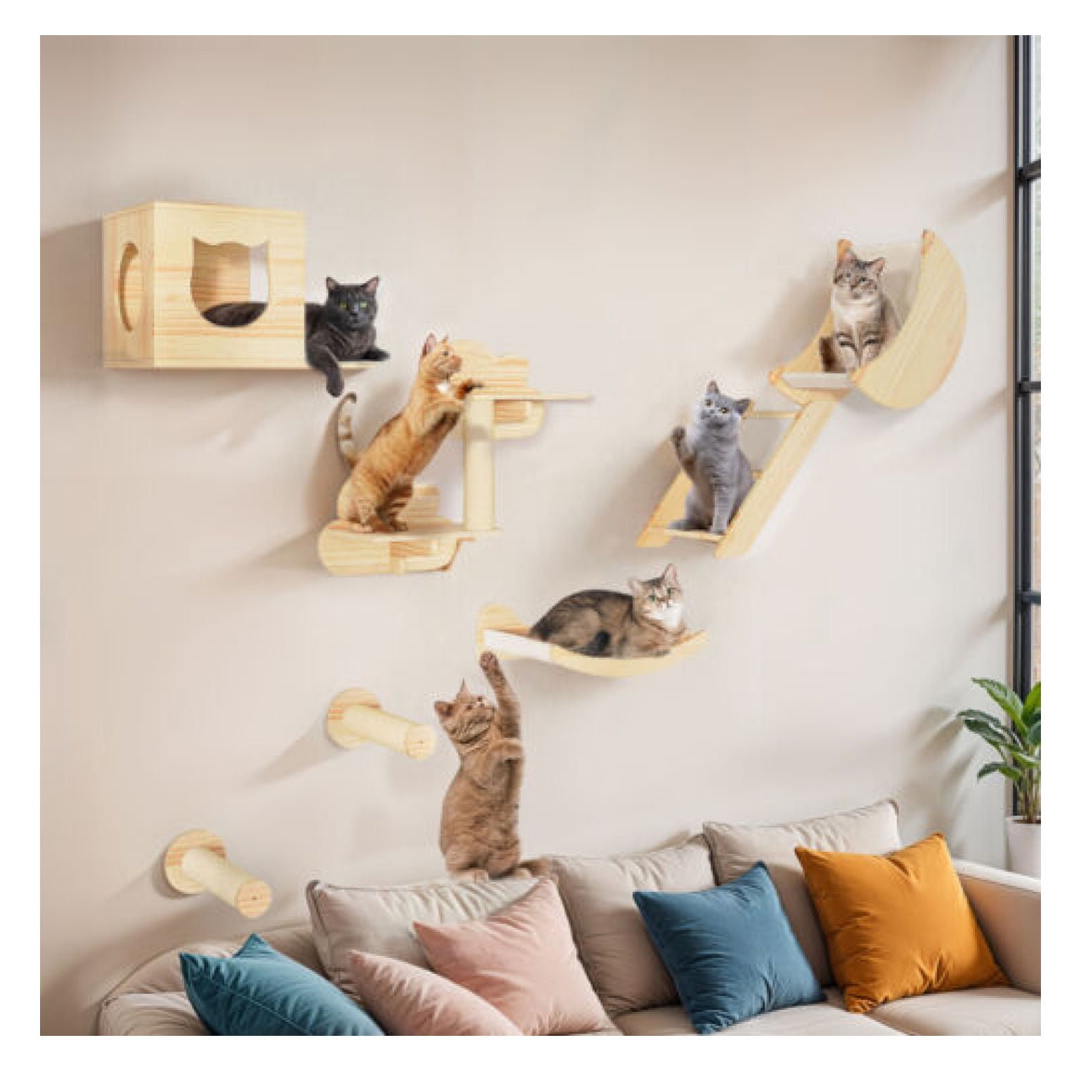Visual Reference: Jtaot Indoor Cat Climbing Wall Mounted Kitten Pet Shelf With