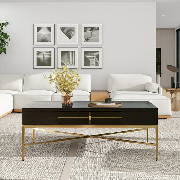 JTH LUXE Kingsly 51" Contemporary Glam Storage Coffee Table, Espresso Black Birchwood & Veneer