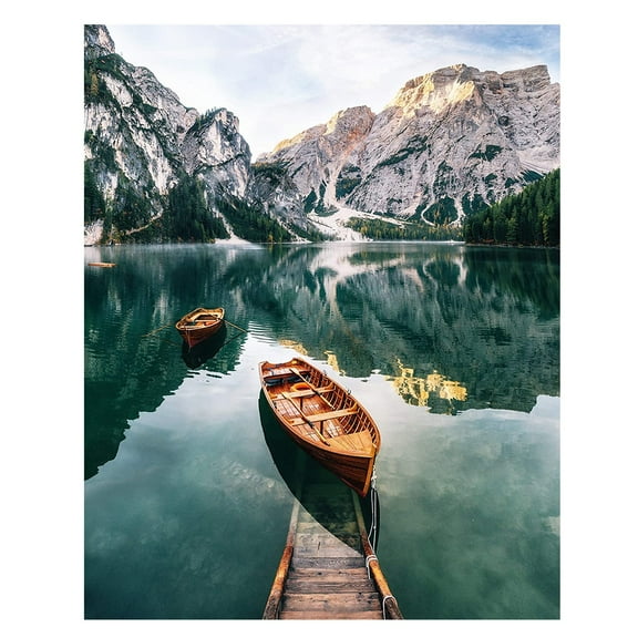 JTHNC Diy Painting By Numbers Kit Coloring By Numbers Picture By Numbers Home Oil Painting Rake Brushes for Acrylic Painting Painting Set for Kids 9-12 Wall Paintings for Living Room And Modern Wall