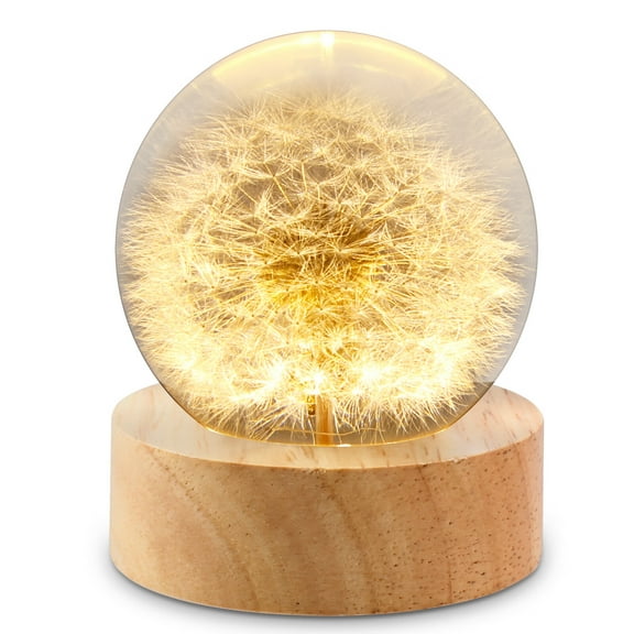 JTNero Dandelion Crystal Ball Night Light with Wooden Base USB Powered Fancy Crystal LED Night Light Crystal Ball Dandelion in Glass Night Lamp for Home