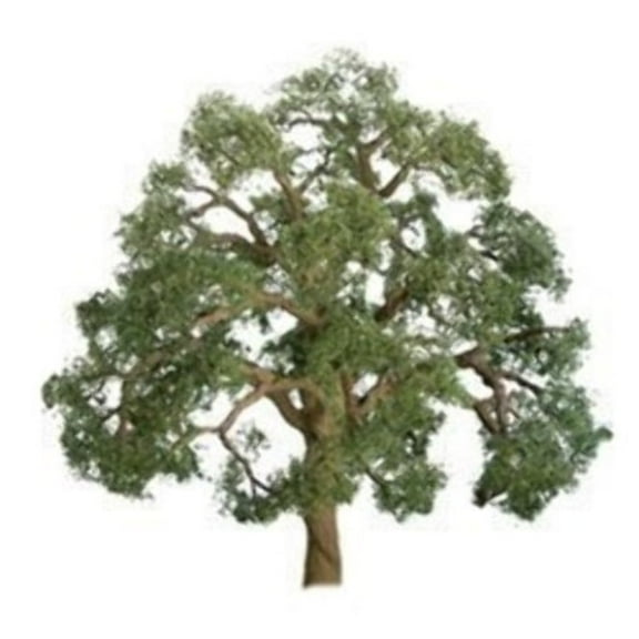 JTT Scenery 96043 O Scale Professional Tree, Live Oak