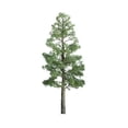 thumbnail image 1 of JTT Scenery Products 96027 Professional Tree, Pine 8" (1), 1 of 1