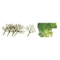 thumbnail image 1 of JTT Scenery Products - Premium Tree Kit, Deciduous 1.5-3" (30), 1 of 1