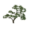thumbnail image 1 of JTT Scenery Products - Professional Tree, Beech 1.5" (4), 1 of 2