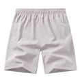 thumbnail image 1 of JTieacloth Big and Tall Shorts for Men Men's Casual Shorts For Everyday Wear Straight Cut Solid Color Design For Spring Summer And Fall Ideal For T Shirt Pairing Easy Care Fabric,Gray, 1 of 3