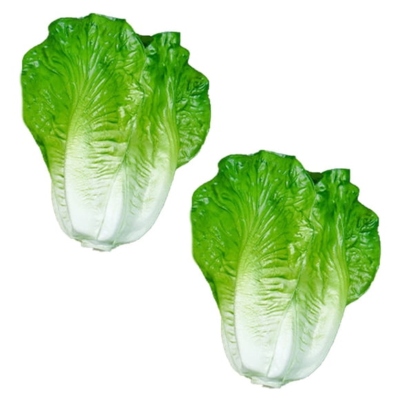 JUANCHENG Artificial Lettuce Fake Salad Prop Realistic Appearance Fade Resistant