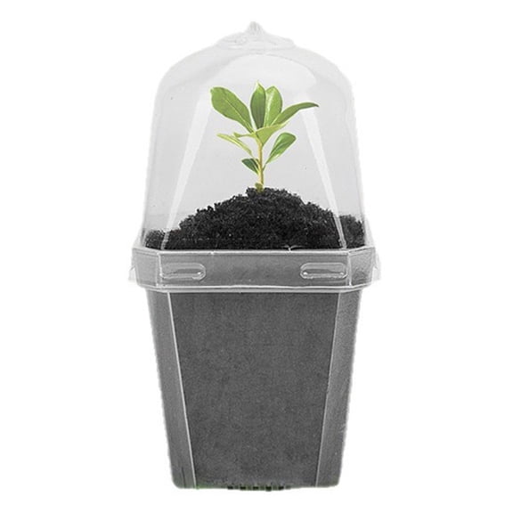 JUANCHENG Clear Plant Nursery Pots with Humidity Dome - 3" Plastic Gardening Pot