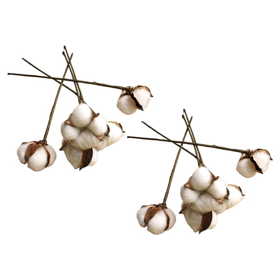 JUANCHENG Natural Cotton Flower Stems Dried Realistic Fake Flowers White Head 22cm Length for Wedding Decoration Photography Props