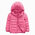 thumbnail image 1 of JUMEYU Cute Winter Coats Toddler Girls and Boys Lightweight Hooded Puffer Jacket for Kids Zip-Up Coat (Pink,3-4 Years), 1 of 4