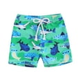 thumbnail image 1 of JUMEYU Swim Trunks for Boys Toddler Baby Boy Swim Trunks Cartoon Pattern Beach Shorts Board Shorts Swimwear 2T 3T (Green,2-3 Years), 1 of 4