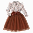thumbnail image 1 of JUMEYU Toddler Girls Floral Princess Dress Long Sleeve Ruffle Tulle Birthday Party Dress 3T 4T (Brown,3-4 Years), 1 of 7