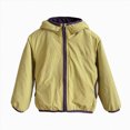 thumbnail image 1 of JUMEYU Toddler Winter Coaat Fleece-Lined Hooded Windbreaker Jacket for Boys Lightweight Zip-Up Coat (Yellow,2-3 Years), 1 of 9