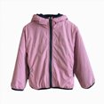 thumbnail image 1 of JUMEYU Toddler Winter Jackets Fleece-Lined Hooded Windbreaker Jacket for Boys Lightweight Zip-Up Coat (Pink,3-4 Years), 1 of 9