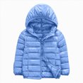 thumbnail image 1 of JUMEYU Warm Jacket Coat Thick Baby Girls and Boys Lightweight Hooded Puffer Jacket for Kids Zip-Up Coat (Light Blue,2-3 Years), 1 of 4
