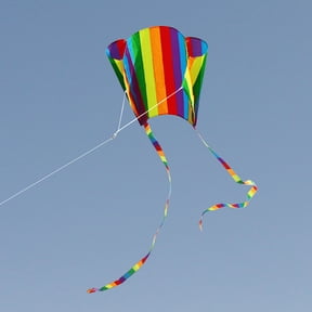 JUNTEX 24.8x20.47in Rainbow Parafoil Kite Toys with Bright Color Funny Portable Kite