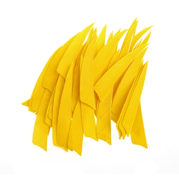 JUNTEX 50Pcs 4 inch Shield Shape Turkey Feather Arrow Archery Hunting Fletching for DIY