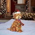 thumbnail image 1 of JUNWELL Christmas Fluffy Doodle Dog Decoration With LED Light String Merry Lovely Plush Dog For Yard Decoration, 1 of 7