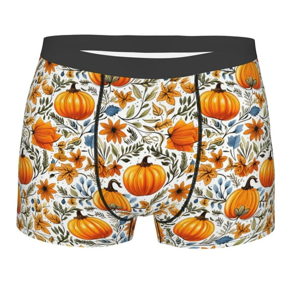 JUNZAN Autumn Pumpkin Blossoms Mens Underwear Boxer Briefs for Men’s-Small