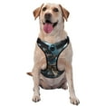 thumbnail image 1 of JUNZAN Cute Skeletons Figurines Pattern Dog Harness - Lightweight,Soft,Adjustable Small Harness and Leash Set-X-Large, 1 of 5