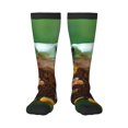 thumbnail image 1 of JUNZAN Fun Novelty Knee Warmer High Socks-Tree Frog Sitting On Sunflowes, 1 of 8