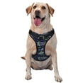 thumbnail image 1 of JUNZAN Hand Drawn Rockets Pattern Dog Harness - Lightweight,Soft,Adjustable Small Harness-Medium, 1 of 6