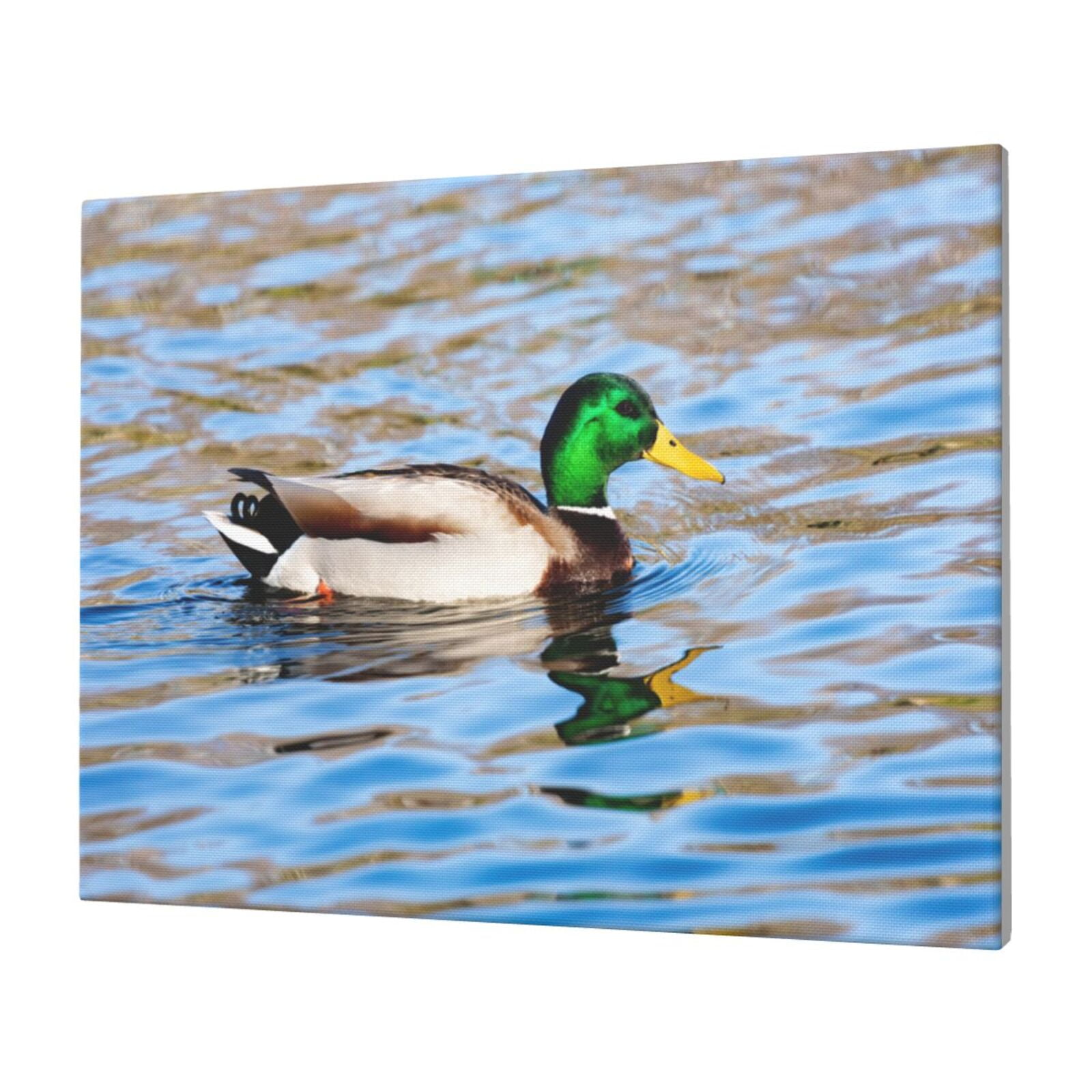 JUNZAN Mallard Duck Swimming In A River Pattern Canvas Wall Art Prints,Wall Art Decor Paintings Wall Decor for Living Room Decor Bedroom Home Bathroom Wall Decor, 12''×16''