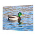 thumbnail image 1 of JUNZAN Mallard Duck Swimming In A River Pattern Canvas Wall Art Prints,Wall Art Decor Paintings Wall Decor for Living Room Decor Bedroom Home Bathroom Wall Decor, 12''×16'', 1 of 6