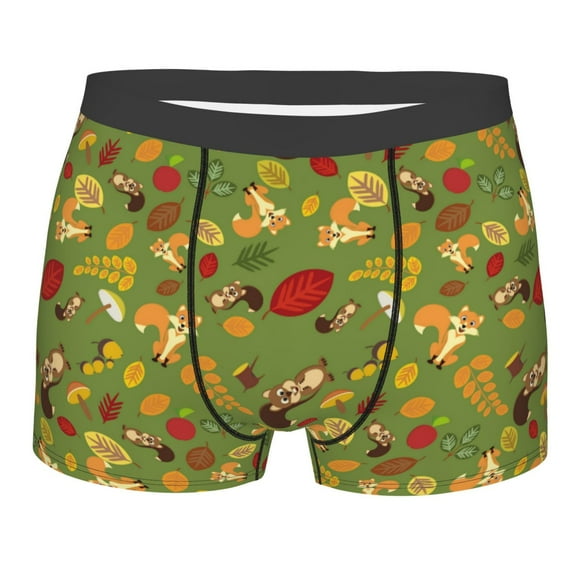 JUNZAN Squirrel And Fox In The Forest Mens Underwear Boxer Briefs for Men’s - Large