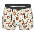 thumbnail image 1 of JUNZAN Squirrel Playing Mens Underwear Boxer Briefs for Men’s - Small, 1 of 7