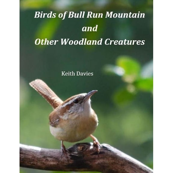 Birds of Bull Run Mountain and Other Woodland Creatures (Paperback)