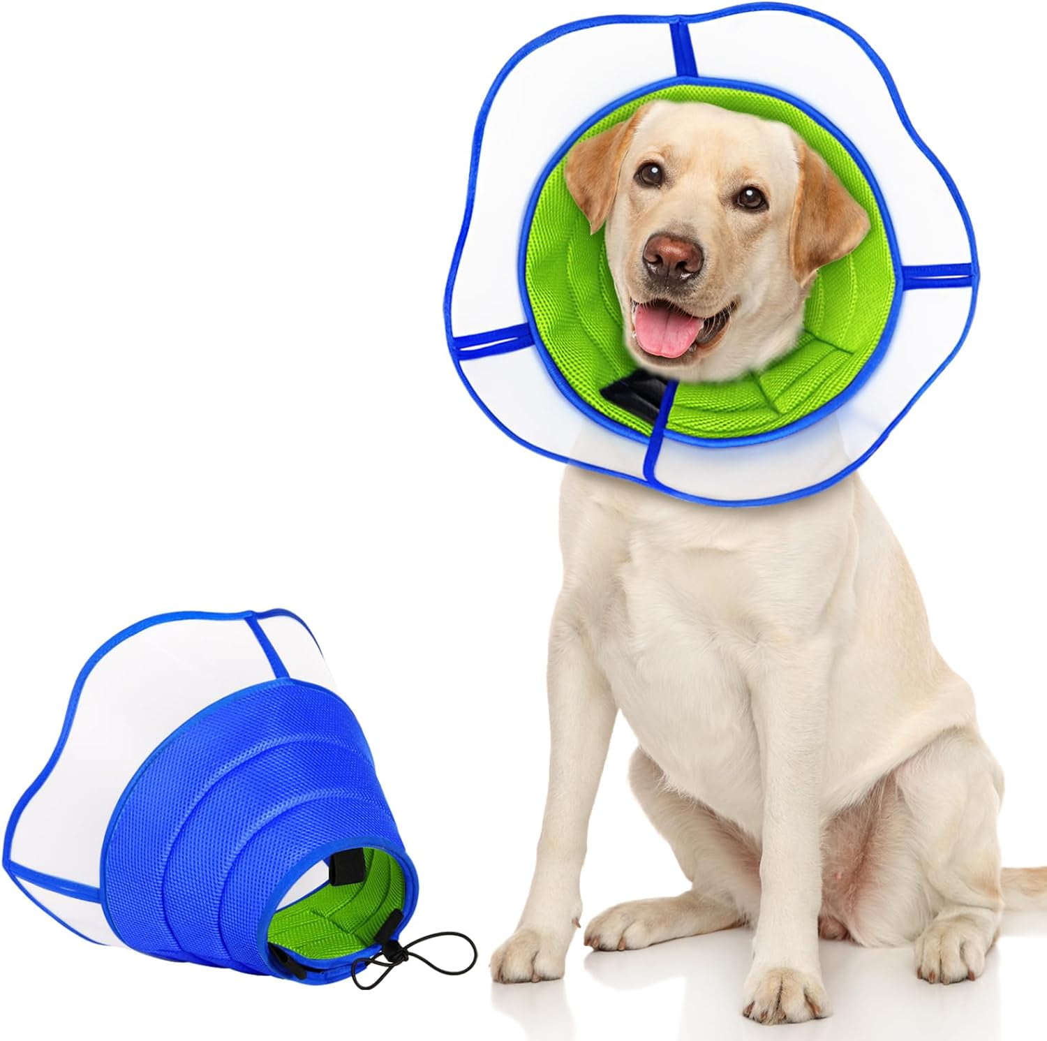 Dog Recovery Collars Dog Neck Brace Cone Noah Lion Recovery Collar