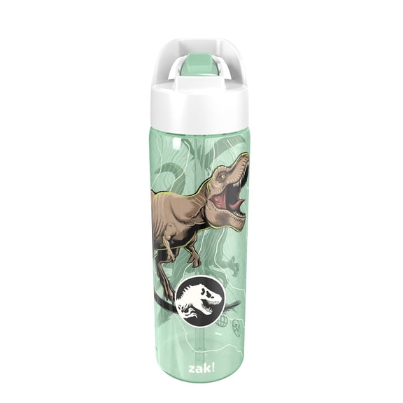 Zak Designs 24.5oz Jurassic Fleet Water Bottle for Kids, Durable Plastic with Straw and Built-in Handle