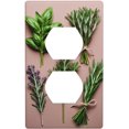 JUSIP Basil Thyme Dill & Rosemary Printed Duplex Receptacle Outlet Wall