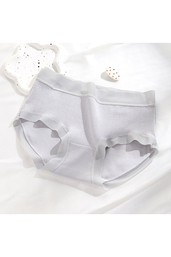 Panties for Women Cotton Briefs Soft Comfortable Breathable Underwear Blue XL